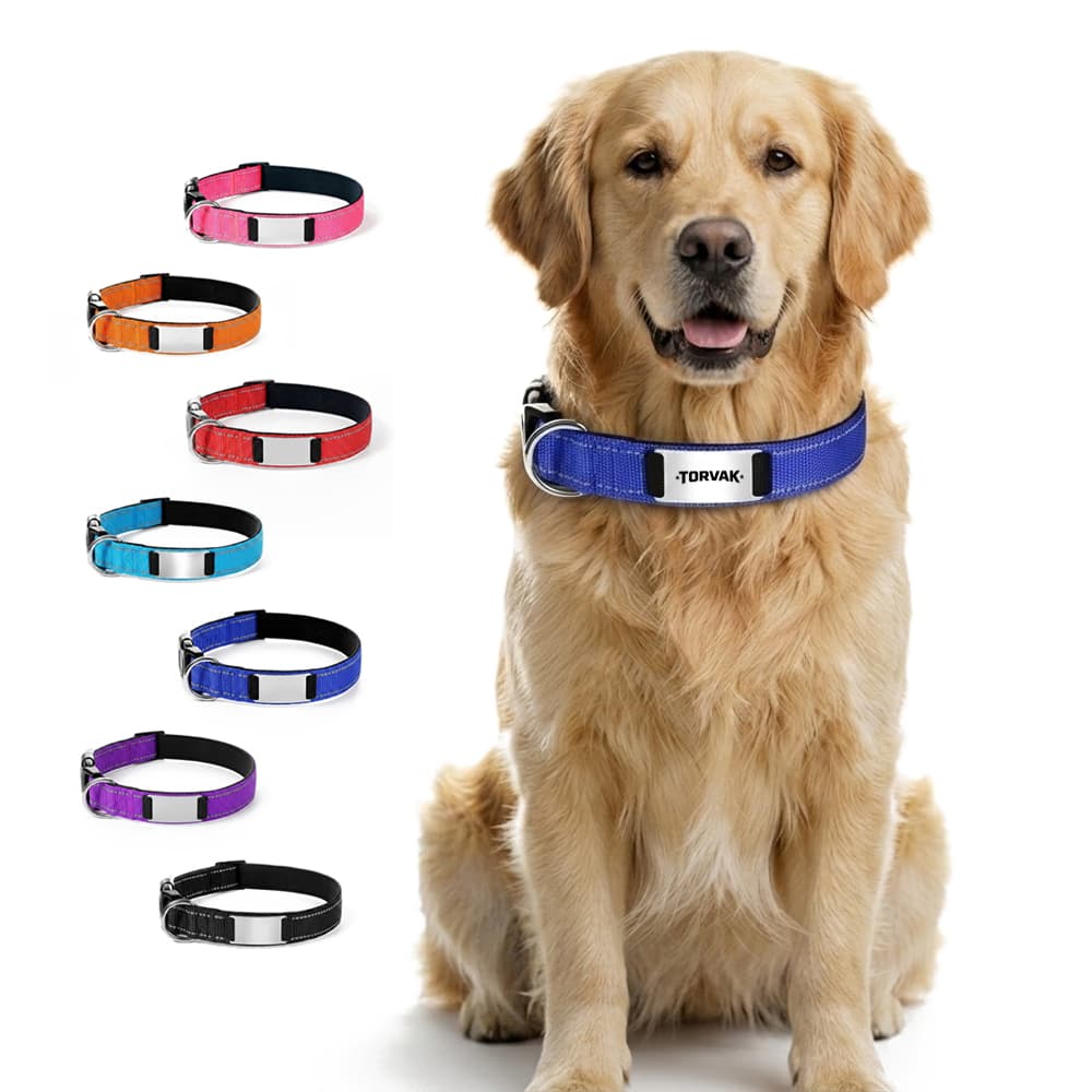 Reflective Stitched Nylon Dog Collar